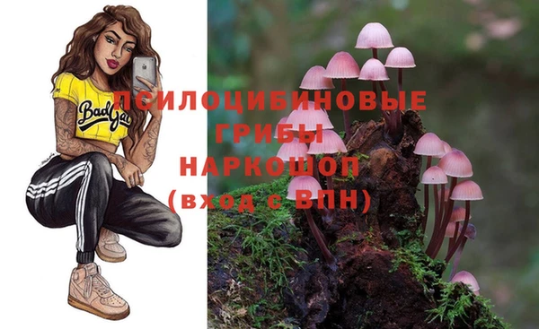 трава Каменка