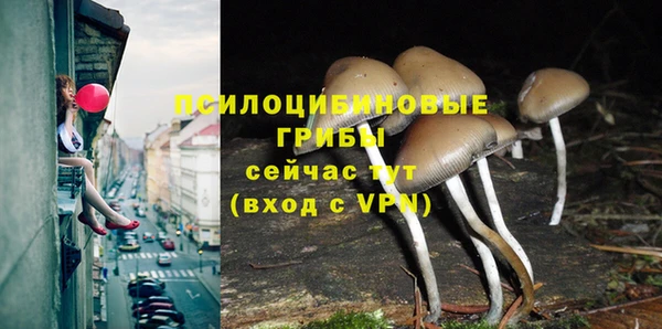 синтетический гашиш Каменногорск
