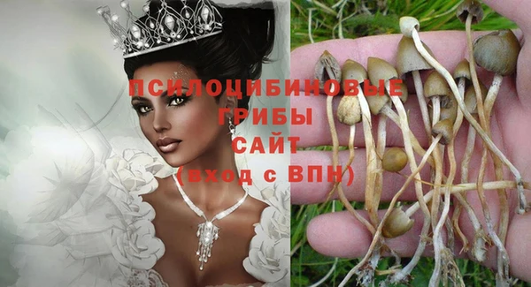 трава Каменка